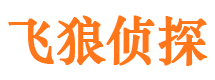 珠晖市婚外情调查